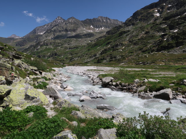 zwischen Eisbodenlacke und Tauernmoossee (15. Juni)