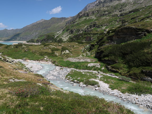 zwischen Eisbodenlacke und Tauernmoossee (15. Juni)