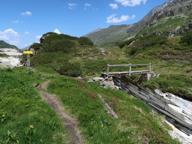 Gaulm&ouml;slsteg (15. Juni)