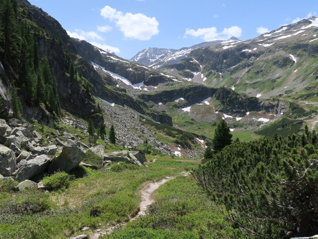 zwischen Niederer Scharte und Gr&uuml;nsee (15. Juni)