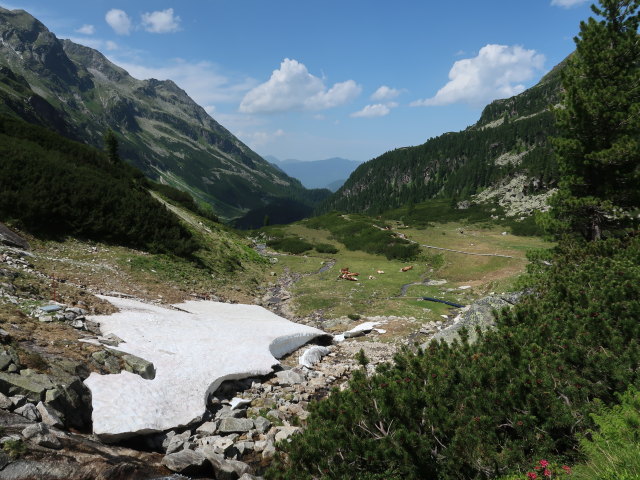 zwischen Niederer Scharte und Gr&uuml;nsee (15. Juni)
