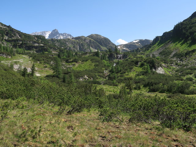 zwischen Niederer Scharte und Gr&uuml;nsee (15. Juni)