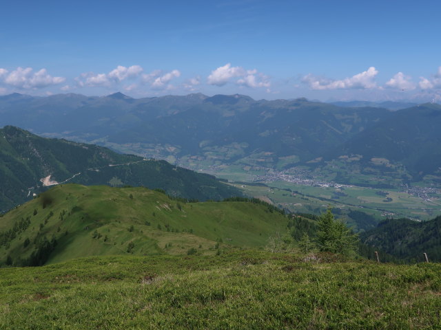 zwischen Harleitenalm und Brandlscharte (21. Juni)
