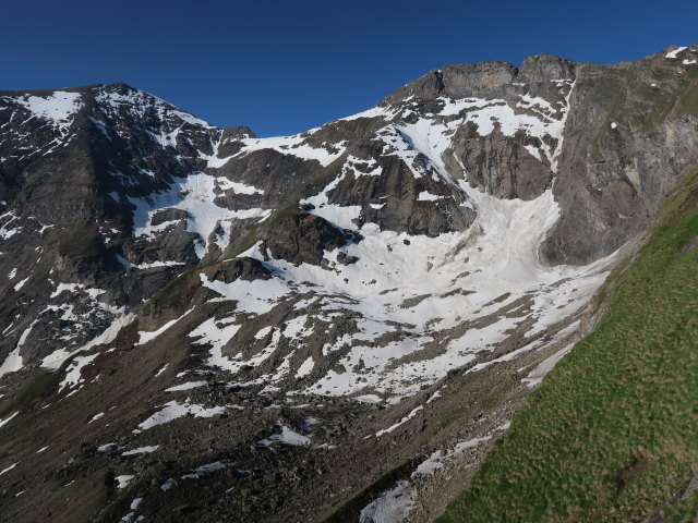 Brachkees vom Gleiwitzer H&ouml;henweg aus (22. Juni)