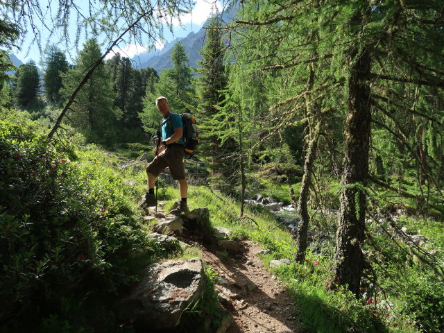 Aaron zwischen Verpeilalpe und Verpeilh&uuml;tte (28. Juni)