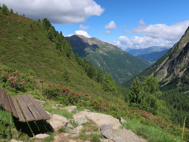 zwischen Sch&ouml;nb&ouml;dele und Madatschkopf (28. Juni)