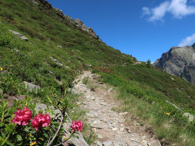 zwischen Sch&ouml;nb&ouml;dele und Madatschkopf (28. Juni)
