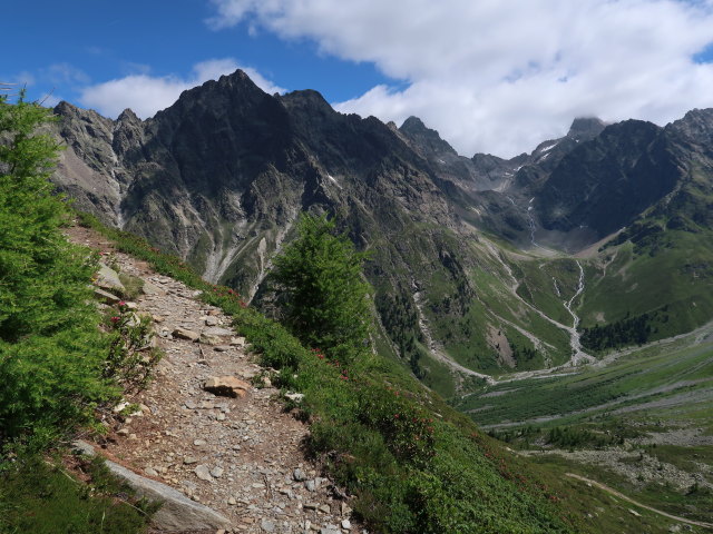 zwischen Sch&ouml;nb&ouml;dele und Madatschkopf (28. Juni)