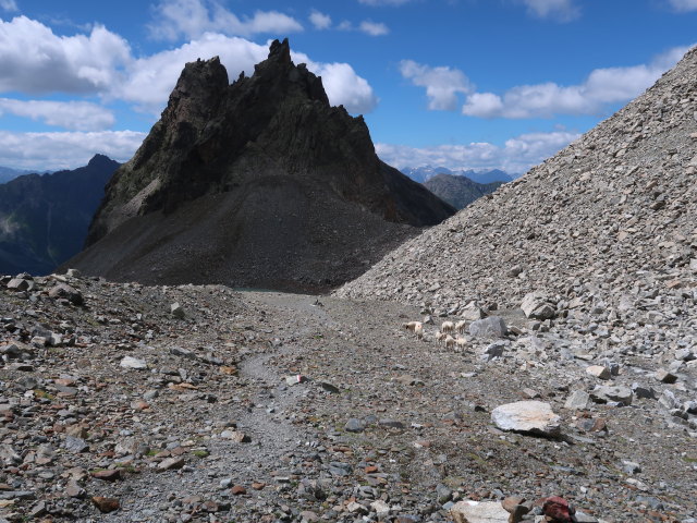 zwischen K&uuml;hgr&uuml;bl und Madatschferner (28. Juni)