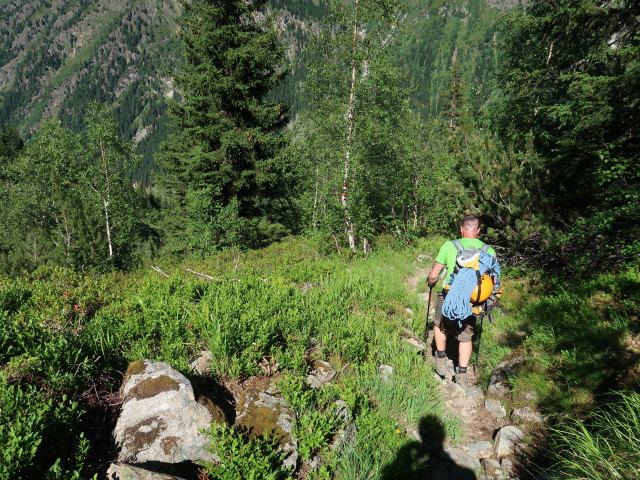 Aaron im Plangerosstal (29. Juni)