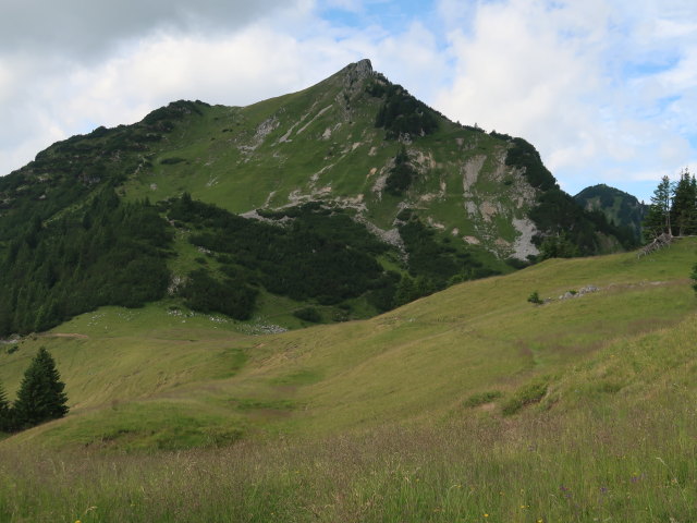 zwischen K&uuml;ngsmais&auml;&szlig; und Alpilakopf