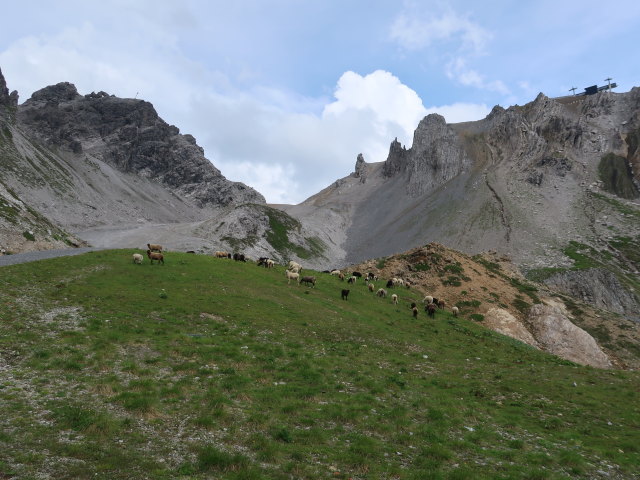 zwischen Valfagehrjoch und Ulmer H&uuml;tte (19. Juli)