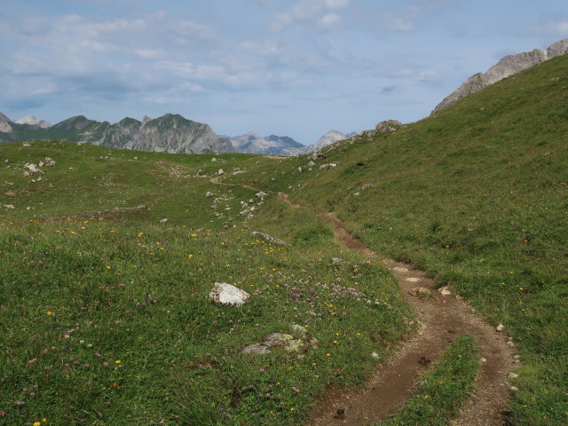 zwischen Stuttgarter H&uuml;tte und Erlijoch (20. Juli)