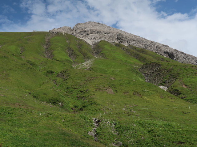 zwischen Monzabonsee und Monzabonalpe (20. Juli)