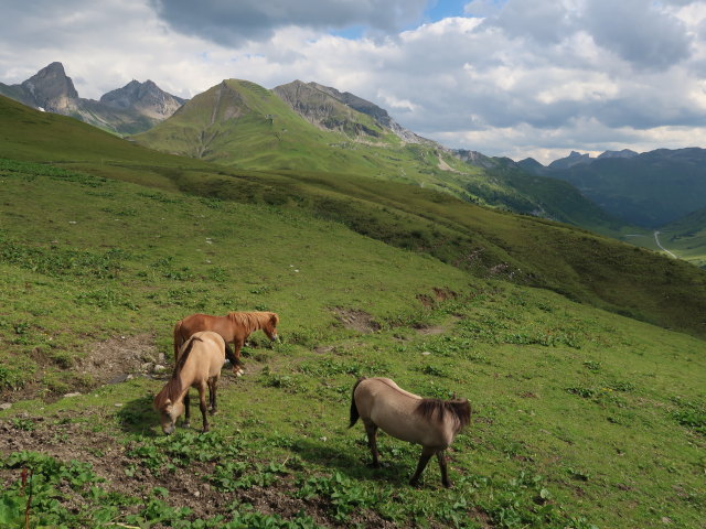 Monzabonalpe, 1.979 m (20. Juli)