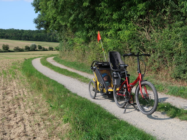 Nils zwischen Niederkreuzstetten und Hautzendorf