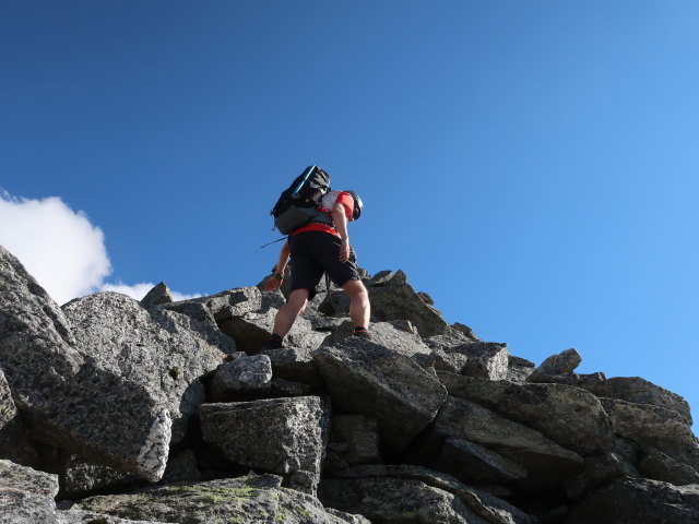 Ronald zwischen S&uuml;dlicher Goldzechscharte und Goldzechkopf (8. Aug.)