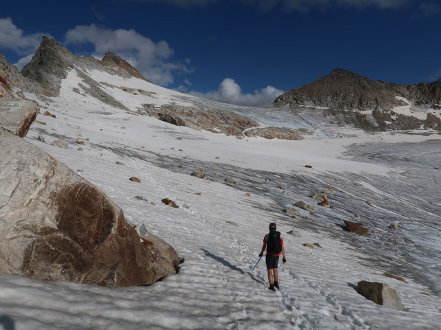 Ronald am Kleinflei&szlig;kees (8. Aug.)
