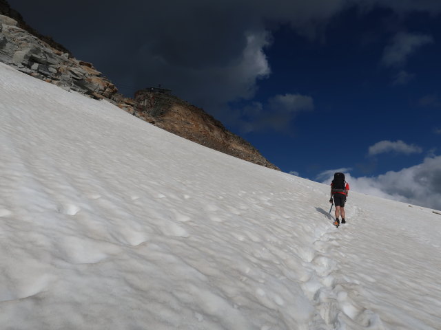 Ronald am Kleinflei&szlig;kees (8. Aug.)