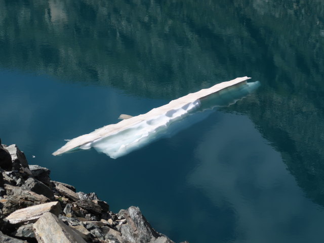 zwischen H&uuml;ttwinklache und Niederer Scharte (9. Aug.)