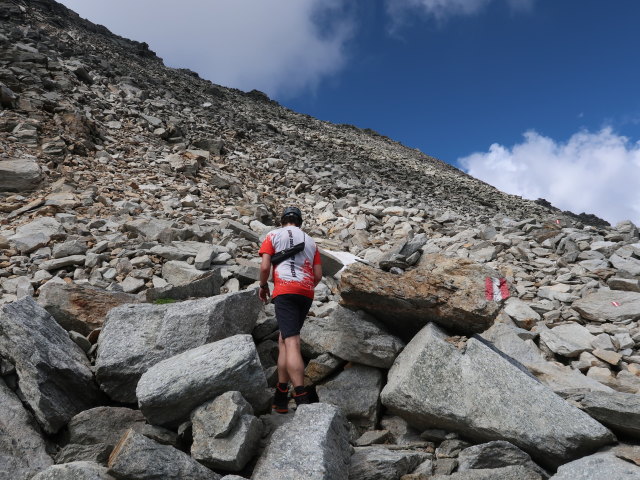 Ronald zwischen Niederer Scharte und Alteck (9. Aug.)