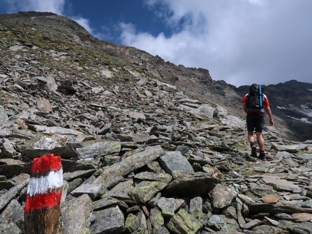 Ronald zwischen Fraganter Scharte und Herzog-Ernst-Spitze (9. Aug.)