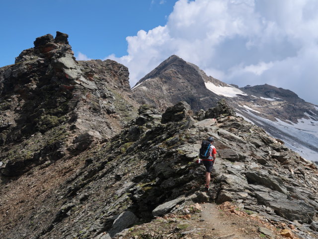 Ronald zwischen Herzog-Ernst-Spitze und Schareck (9. Aug.)