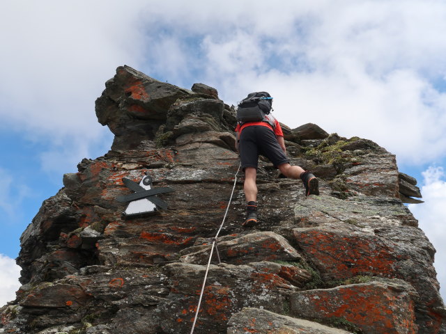 Ronald zwischen Herzog-Ernst-Spitze und Schareck (9. Aug.)