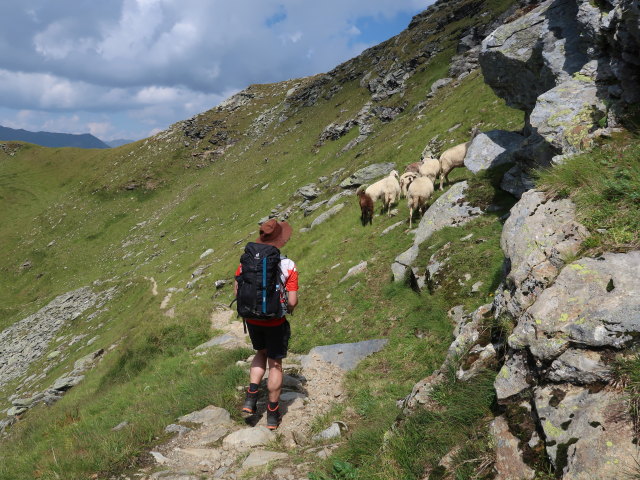 Ronald zwischen Niederem Tauern und Eselkar (10. Aug.)