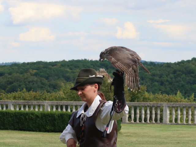 Falknereivorf&uuml;hrung