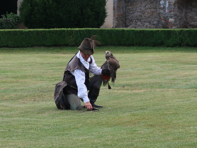 Falknereivorf&uuml;hrung