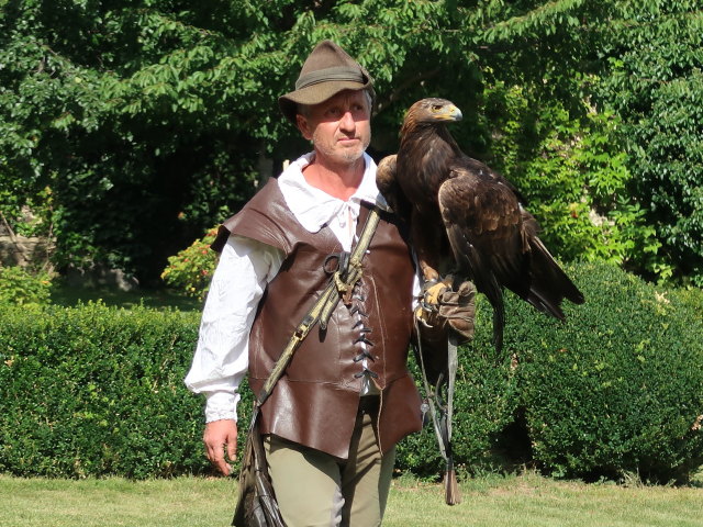 Falknereivorf&uuml;hrung