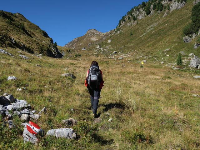 Carmen zwischen Wei&szlig;bachalm-Mitterleger und Torhelm