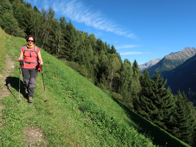 Carmen zwischen Kolmhaus und Ahornach