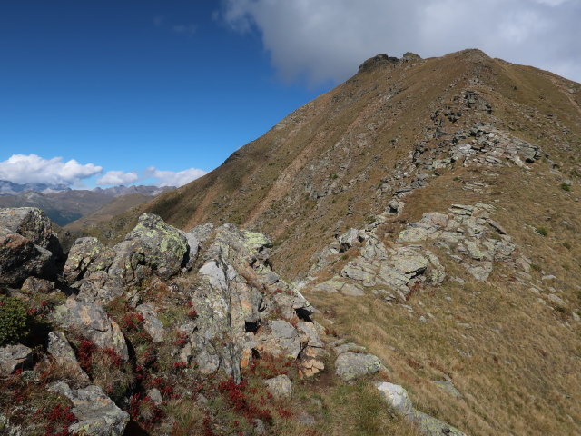 zwischen Zellinkopf und Leitenkopf