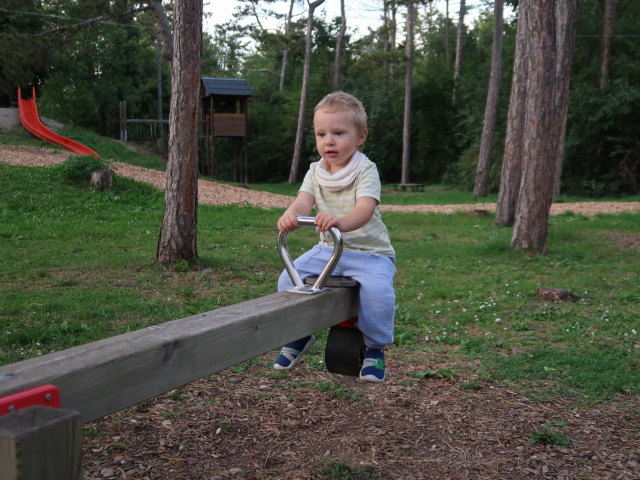 Nils am Waldspielplatz Hirtenberg