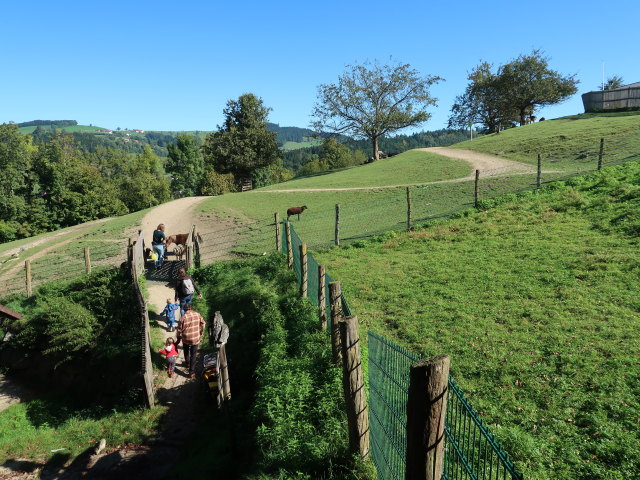 Hannelore, Nils, Ella, Sabine und Manuel im Tierpark Buchenberg