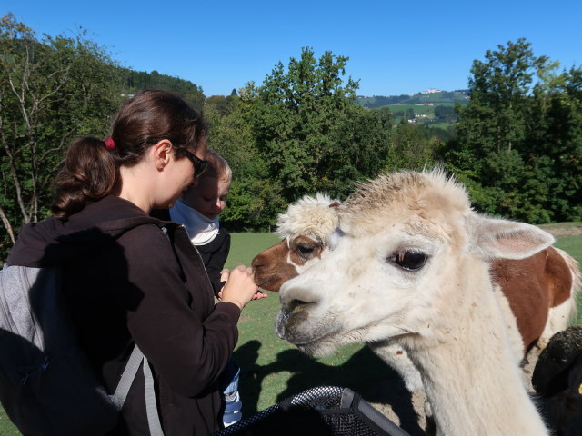 Sabine und Nils im Tierpark Buchenberg