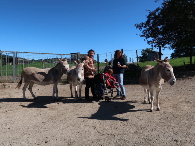 Manuel, Ella und Hannelore im Tierpark Buchenberg