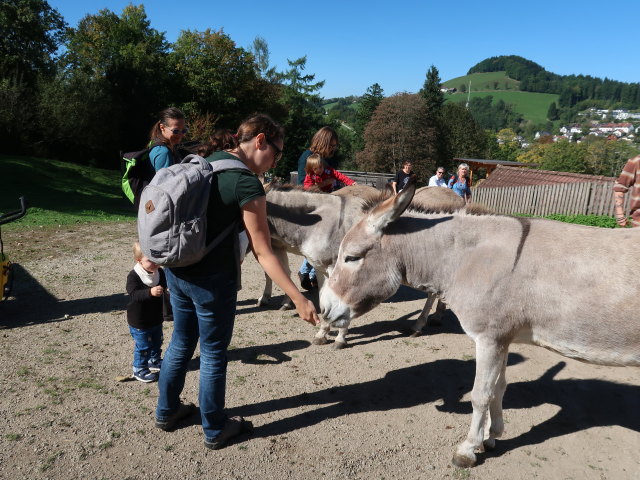 Nils, Ursa, Sabine, Ella und Hannelore im Tierpark Buchenberg