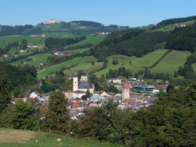 Waidhofen vom Tierpark Buchenberg aus