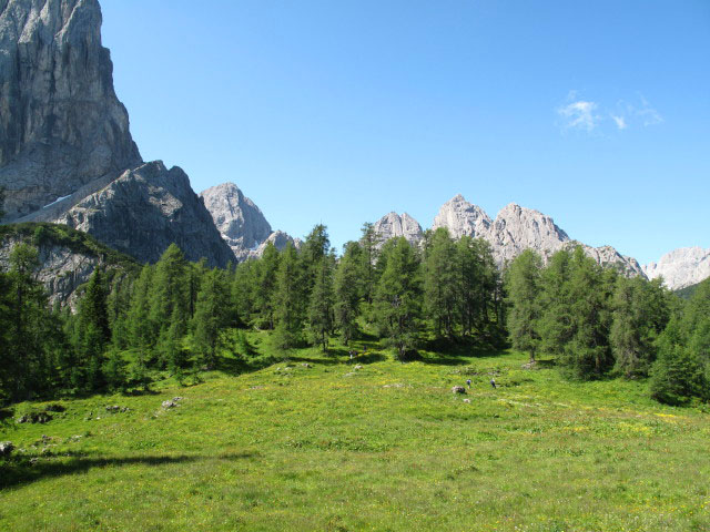 zwischen Weißsteinalm und Auerlingköpfl (13. Juli 2009)