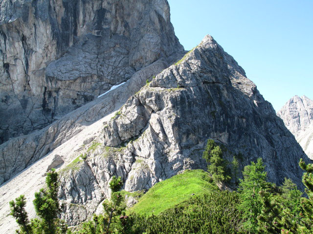 Zellink&ouml;pfe (13. Juli 2009)