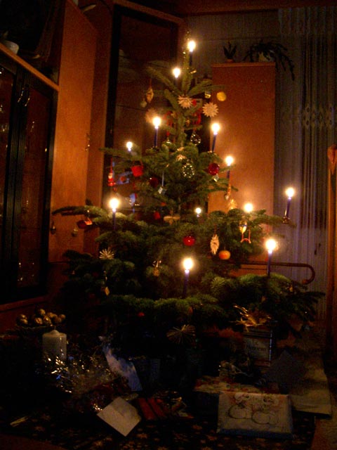 Weihnachtsbaum