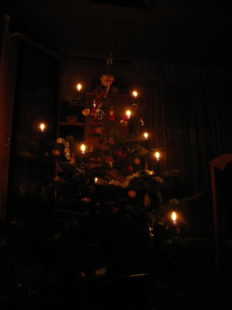 Weihnachtsbaum