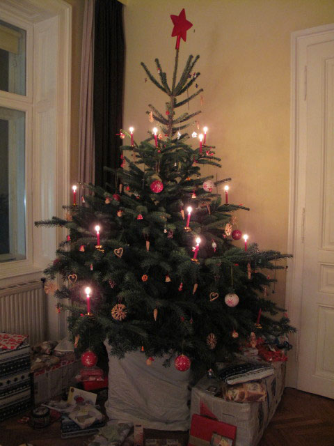 Christbaum in Markus und Elenas Wohnung