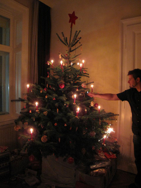 Christbaum und Markus in Markus und Elenas Wohnung